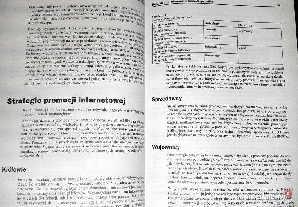 Marketing w internecie Strategie małych i dużych Chełm sprzedam