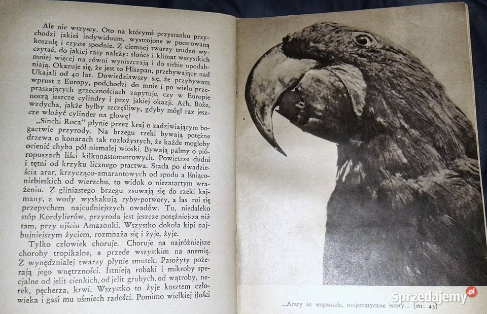 Zdobywamy Amazonkę Arkady Fiedler Chełm