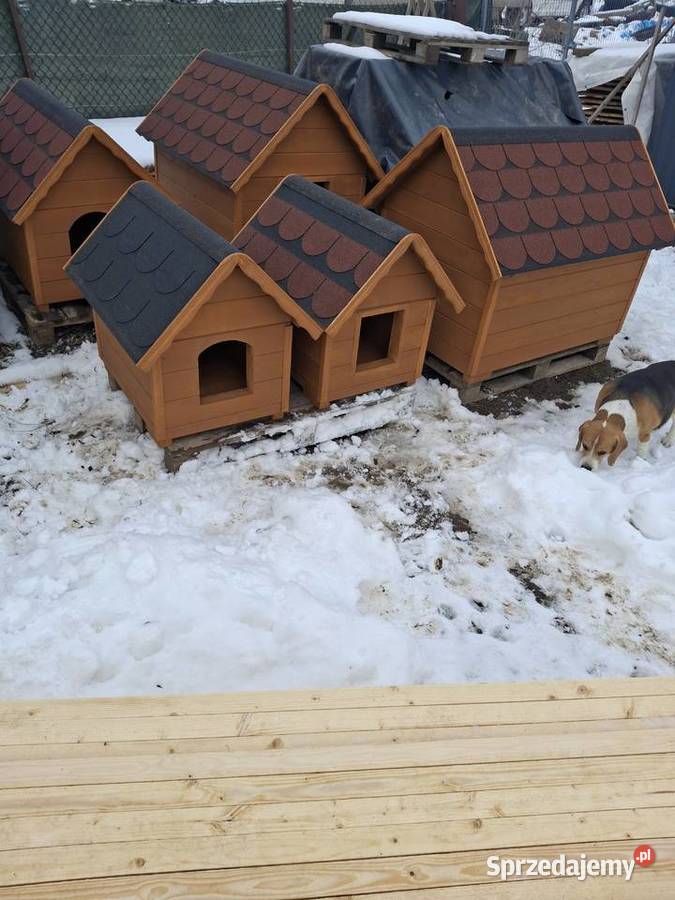 Buda Psa Solida Ocieplona Transport małopolskie sprzedam