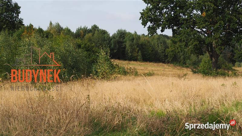 Działka rolna Karsino 50m
