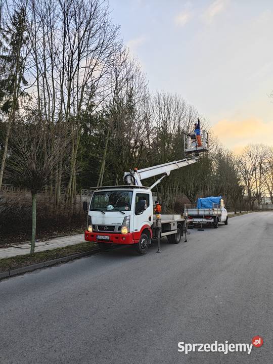 Zwyżka tarnowskie góry wynajem podnośników współpraca