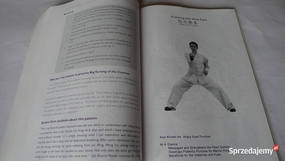 SANTER Shaolin Chi Kung 18 Exercises RARE Luohan mazowieckie Radom