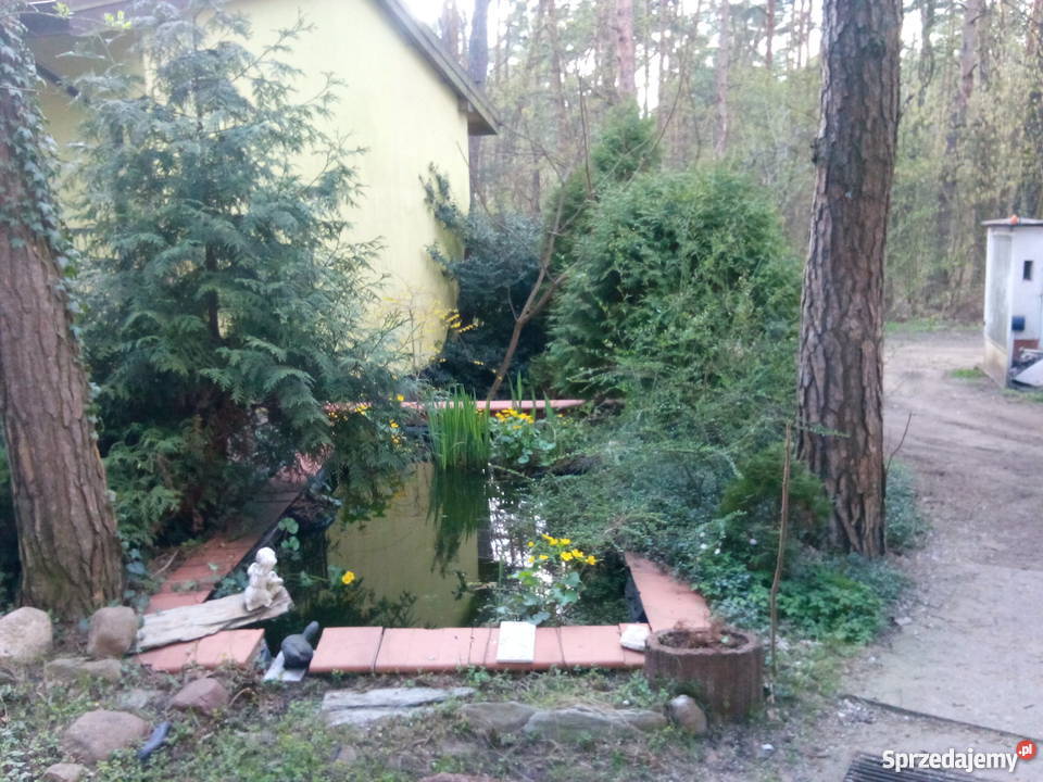 Sprzedam bezposrednio Otwock Srodborow Otwock