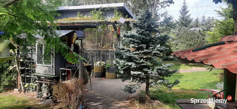 Działki 1000m2 z domkiem 65m2 w Tuszynie Tuszyn