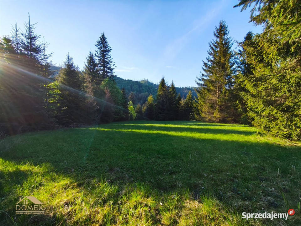 Grunt Ujsoły 5374m2 śląskie