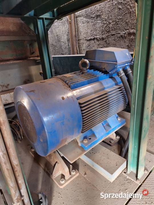 Panizzolo Flex 1000 strzępiarka młyn młotkowy do Produkcja Ogrodzieniec