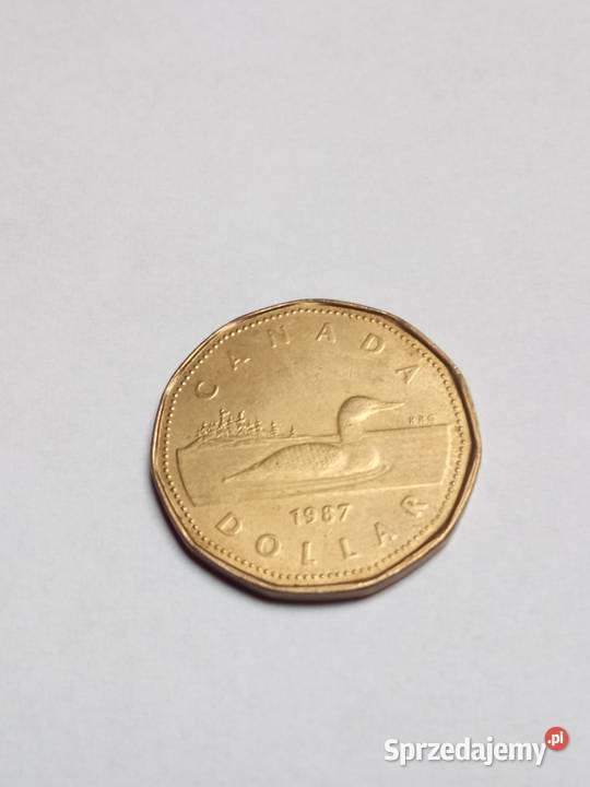 Canada 1 Dollar z 1987 Numizmatyka Świdnica