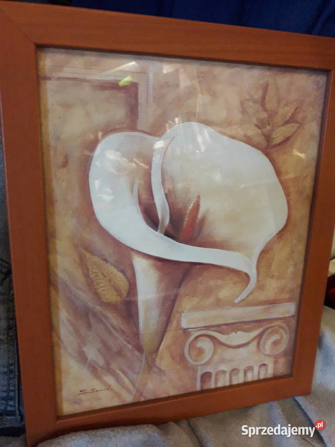 OBRAZY SĄ PODPISANE Czytaj Opis Proszę Tomasz Obrazki i obrazy Warszawa