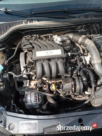 Sprzedam silnik skoda octavia 2 16 MPI benzyna Kuriany sprzedam