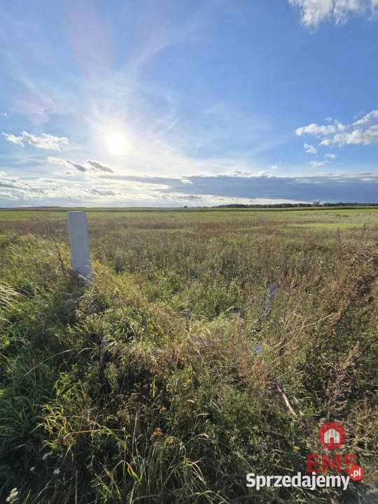 Sprzedaż działki 1700m2 Pajewo