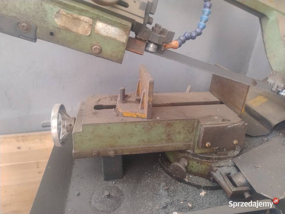 Piła tasmowa Głubczyce