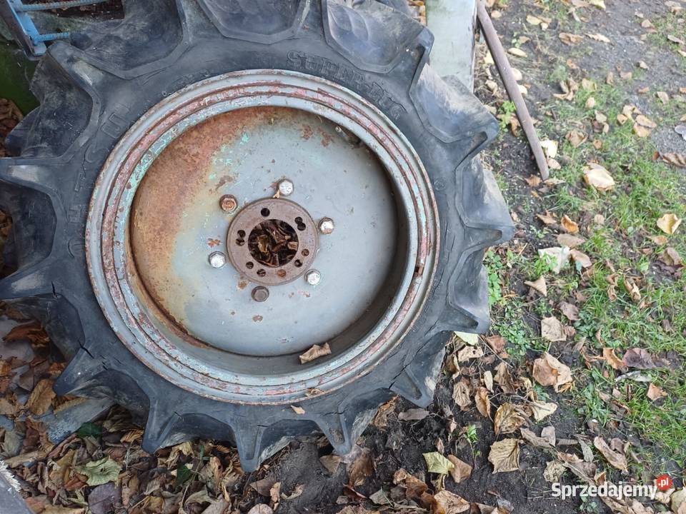 Koła 83 20 Jodełka Koła i wagi Pokój