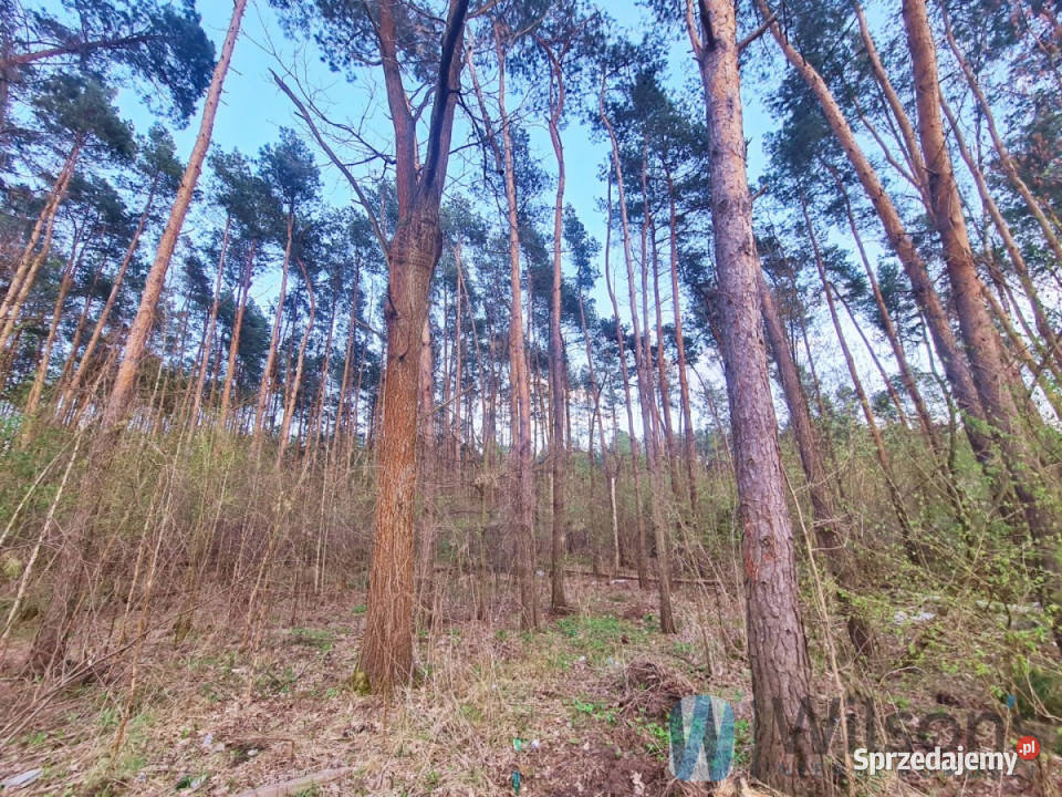 Mieszkanie 110m2 6pok Marki Długa Sprzedaż sprzedam