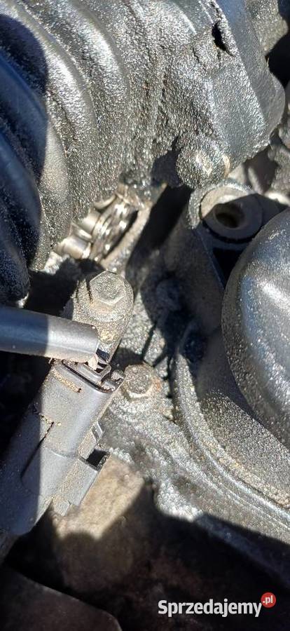 Ford pomorskie Jastrzębia Góra
