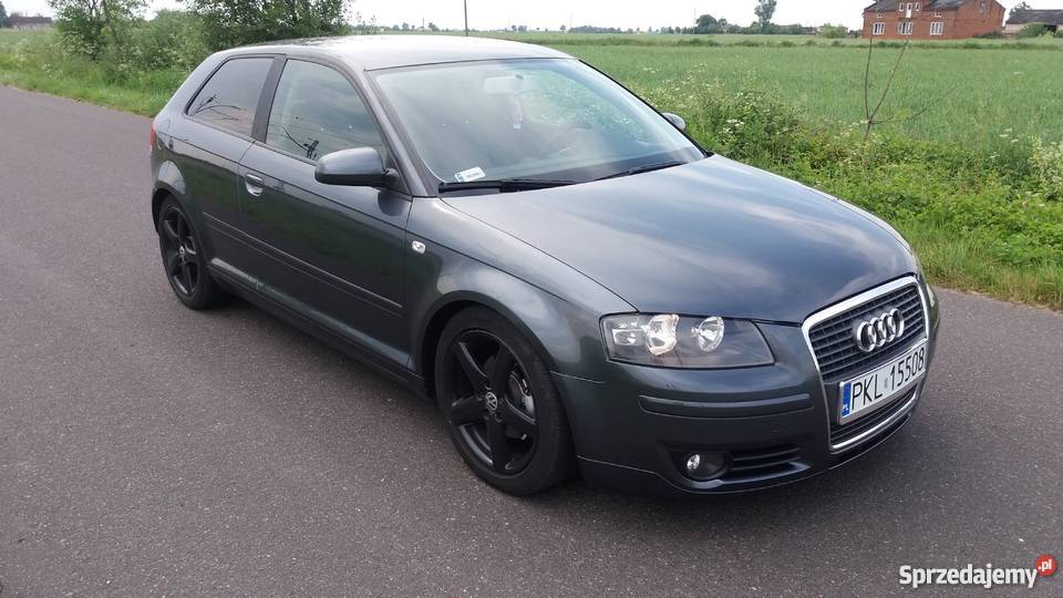 Audi A3 Ambition 1 9 Tdi 105km Po Lifcie Klodawa Sprzedajemy Pl