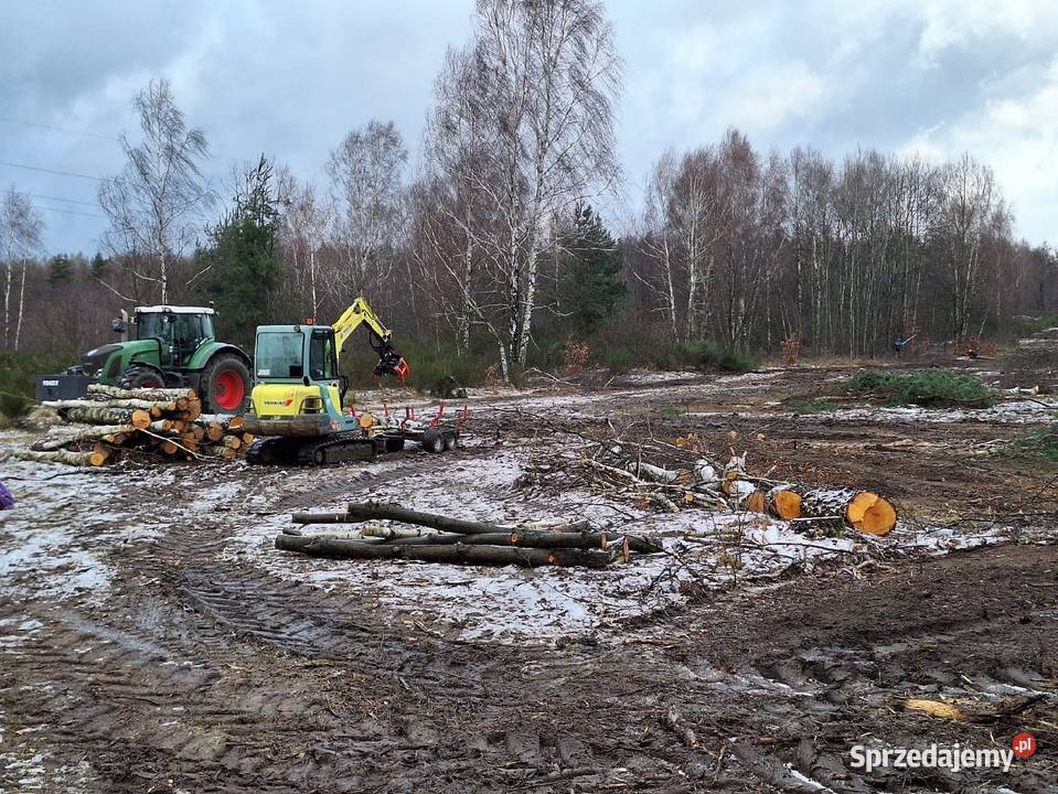 Wycinka drzew Czyszczenie działek Mulczowanie Karczowanie i usuwanie drzew Tychy