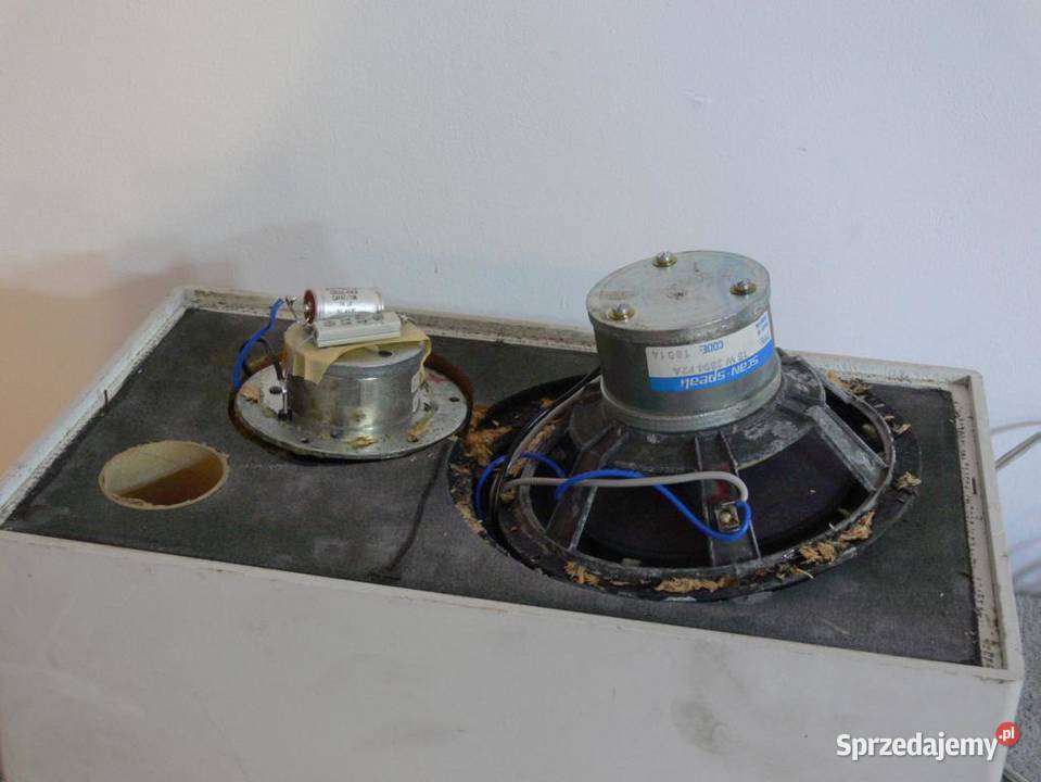 Kolumny Scan Speak sprawne Vintage WYSYŁKA Słuchawki i głośniki Elektronika Jasło