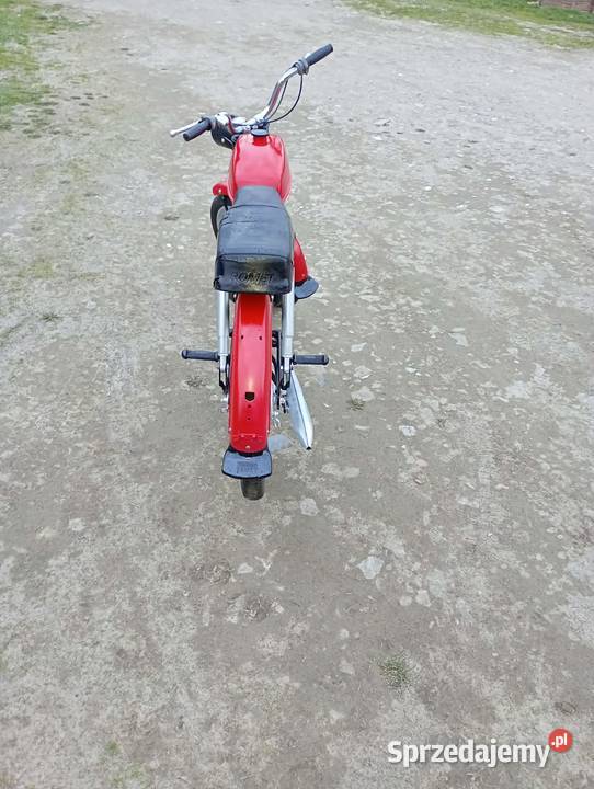 Sprzedam Rometa ogara 205 wielkopolskie Kalisz sprzedam