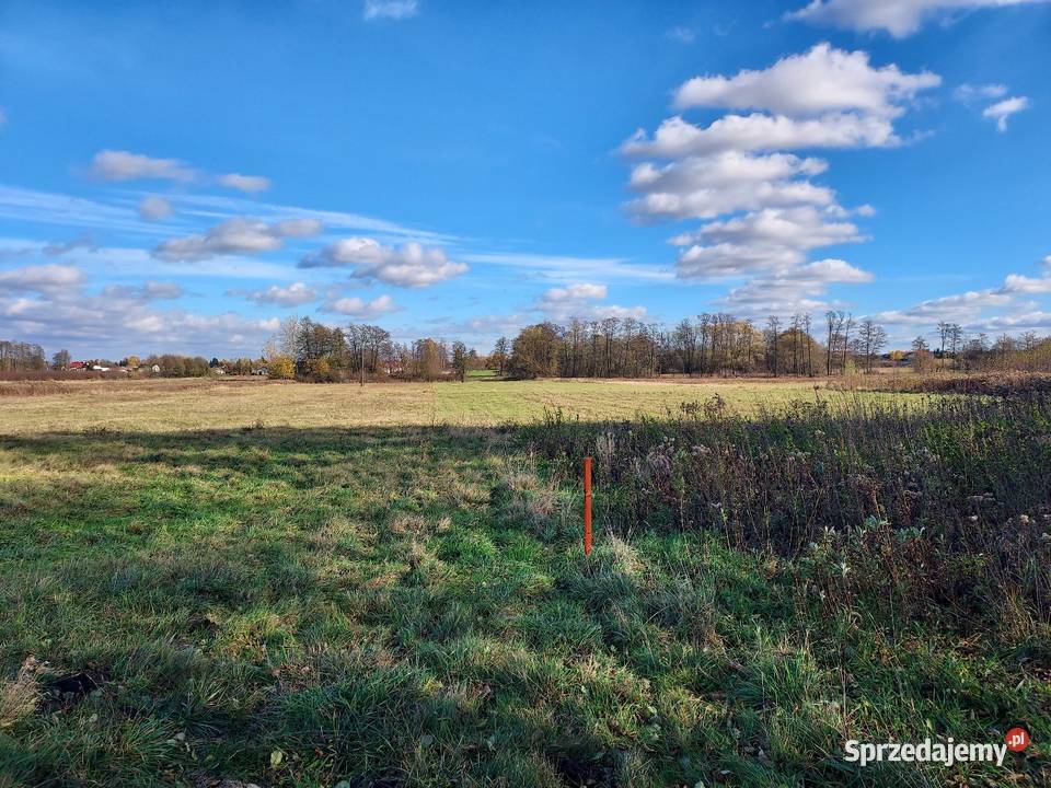 Działka budowlana Hipolitów gm Chynów mazowieckie Sułkowice
