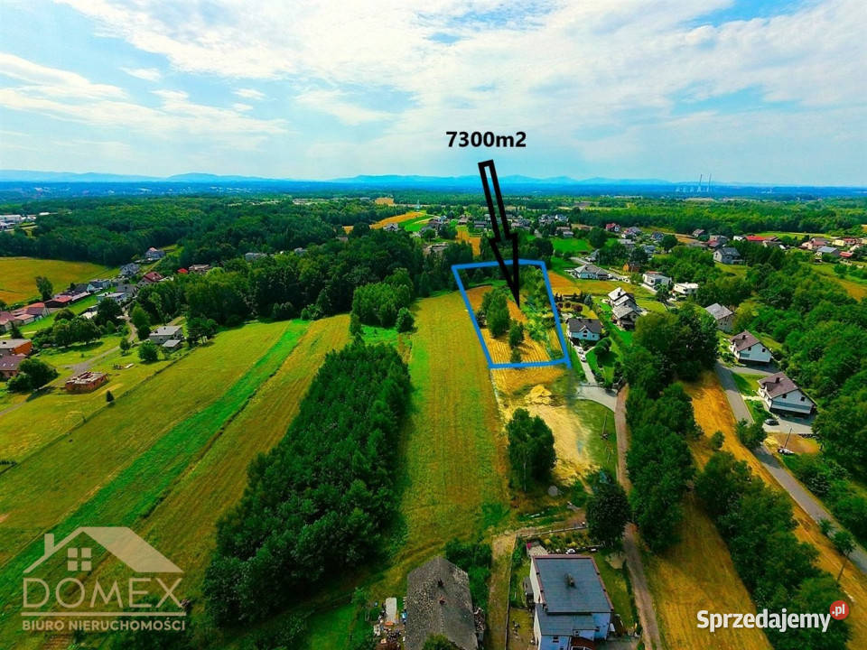 Grunt 8300m2 Mszana 26zł/m2