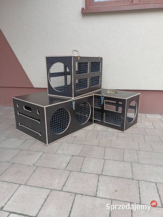 Transporter królików Leżajsk