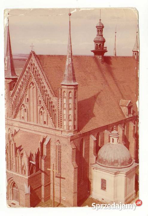 FROMBORK Krynki sprzedam