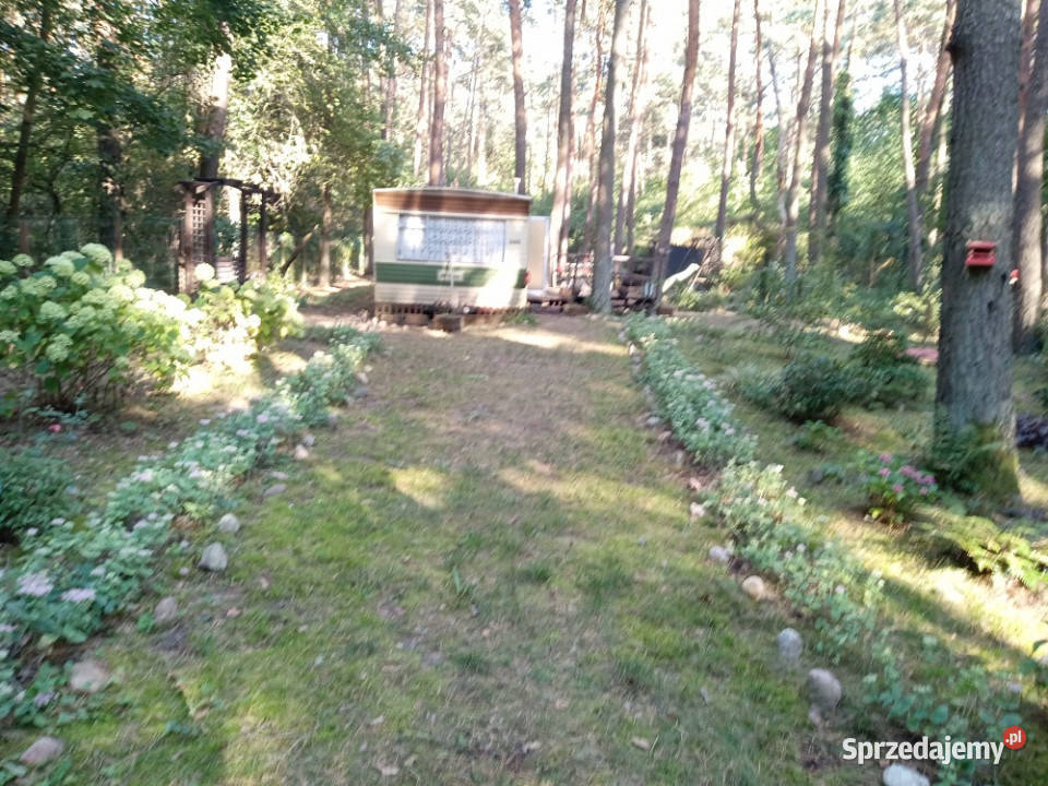 Piękną działkę Narwią sprzedam Sprzedaż Sikory