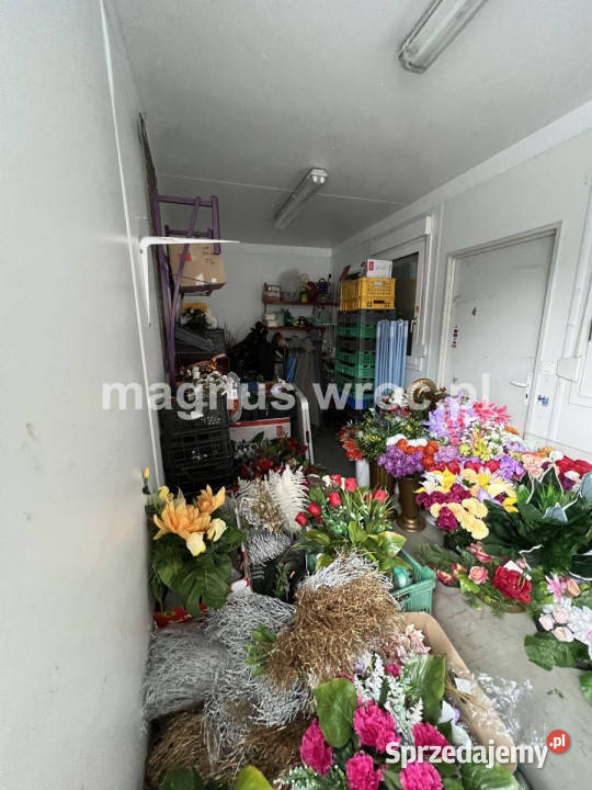 Do wynajęcia punkt handlowy tuż Magnolii parking dolnośląskie Wrocław