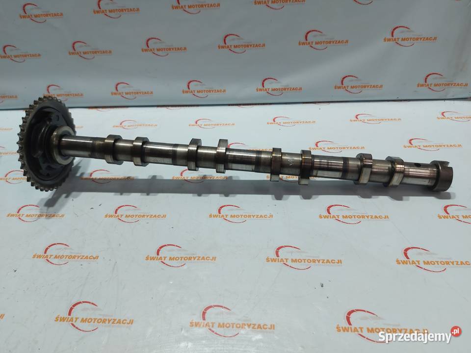 TRANSIT JUMPER 22 TDCI 85 P8FA wałek rozrządu Kielce