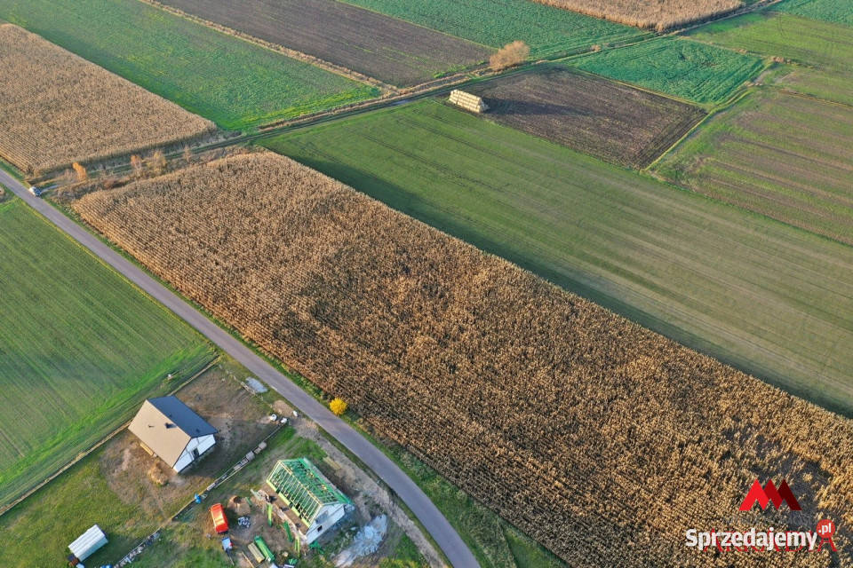 Działka Lubanie 6427m2