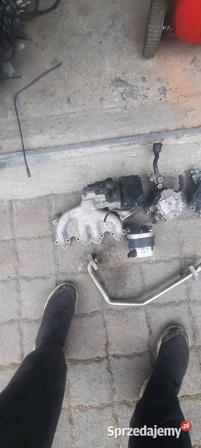 Lampy rozne oi inne akcesoria Lampy tylne Lwówek Śląski
