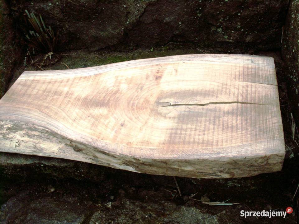 Dębowy blat pólka stolik do aranżacji gr 5 Ełk