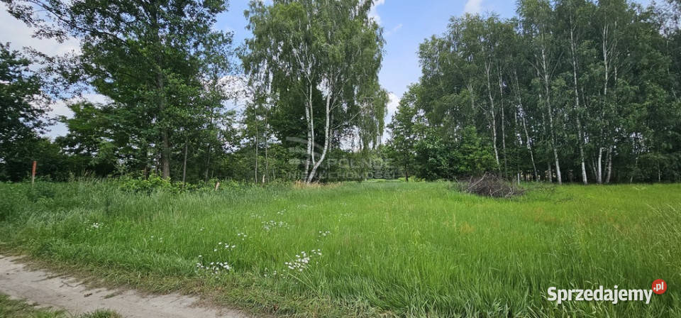 Działki w sercu pojezierza na sprzedaż Orzechów-Kolonia