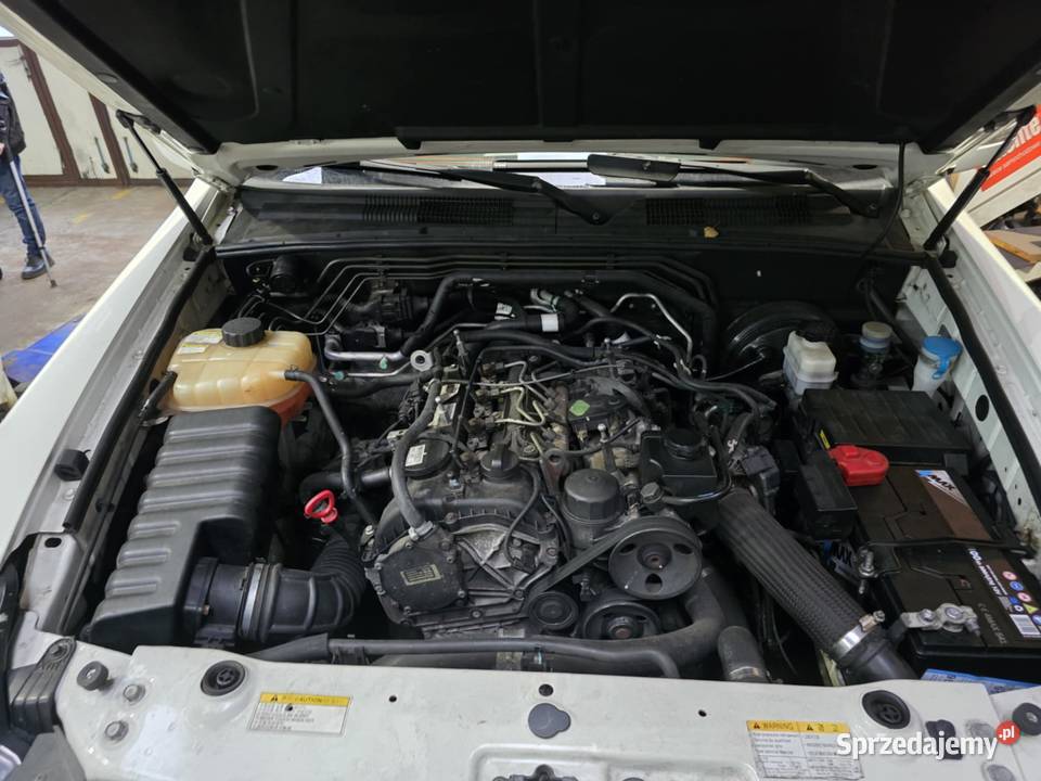 Ssangyong Rexton 20d 4X4 2000cm3 Oborniki