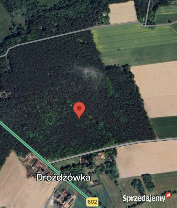 Leśna działka pod dom całoroczny MPZP woda i Drożdżówka