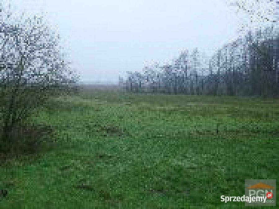 Sprzedaż działki 5000m2 Kołczewo okolica 2 asfalt