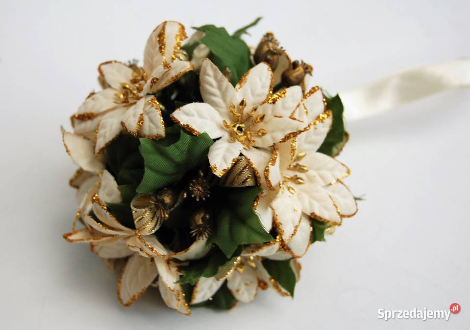 Kula roślinna biała gwiazda betlejemska Dekoracje i ozdoby Lublin