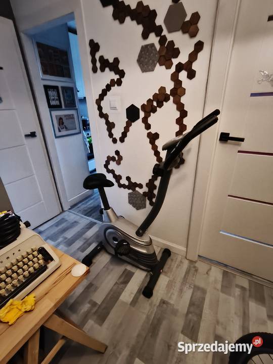 Rower stacjonarny kayoba Gdańsk