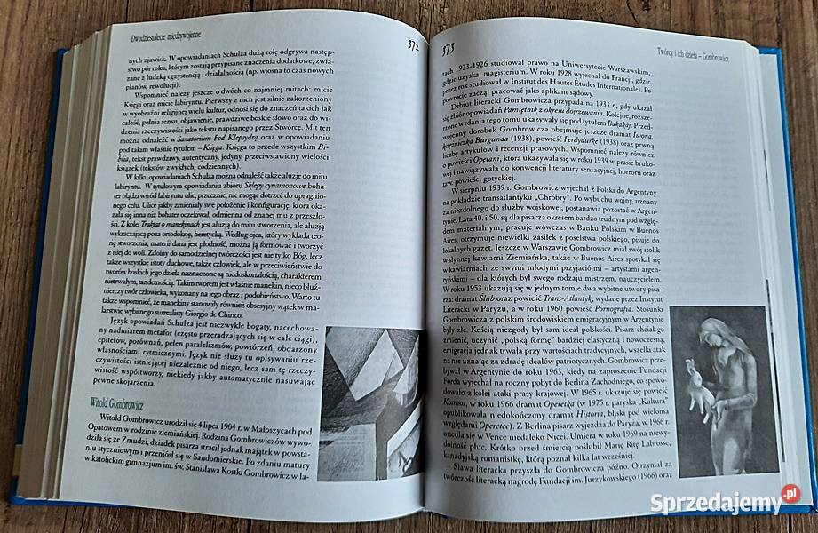 Dzieje literatury w epokach M Hanczakowski wielkopolskie Ostrów Wielkopolski sprzedam