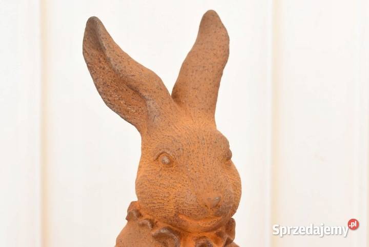 Popiersie Królika w Garniturze Królik Zając Kraków sprzedam