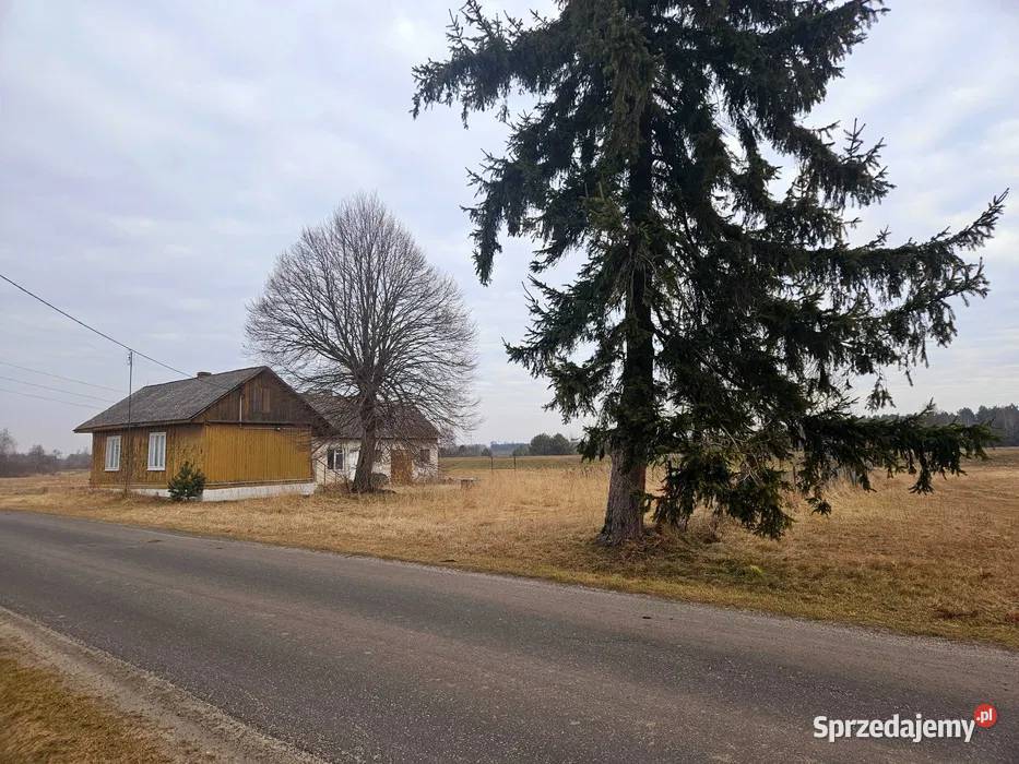 Siedlisko rzece Pilicy k Koniecpola Wąsosz