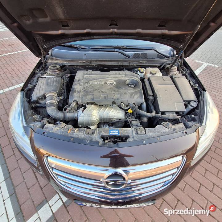 Opel Insignia 20 CDTI ZADBANY
