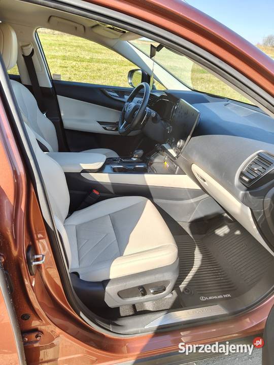 Lexus NX 350h AWD Prestige Design Premium Bukowie