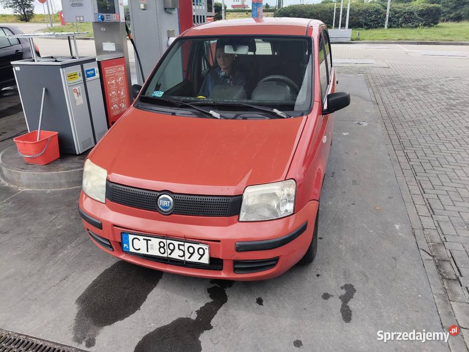 Fiat panda kujawsko-pomorskie Toruń