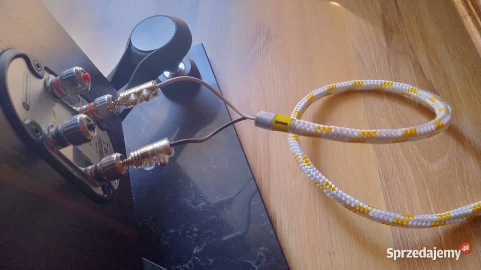 Audio Note Kondo Japan KSLSP 2x3m Pszczyna
