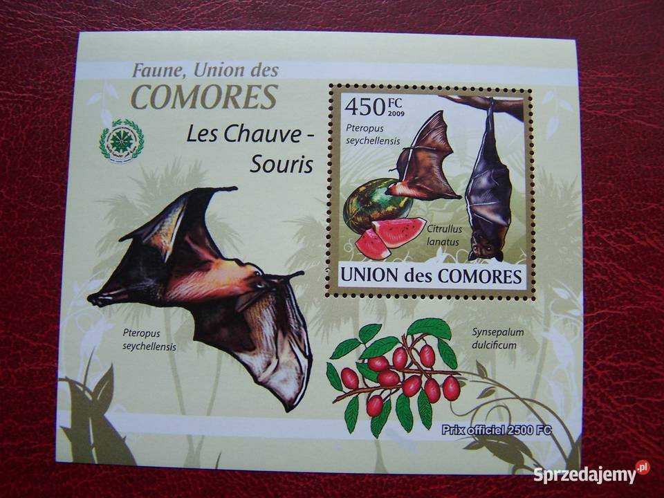 Komory 2009 MNH Fauna Nietoperze Nakład 2500 Filatelistyka Tychy sprzedam