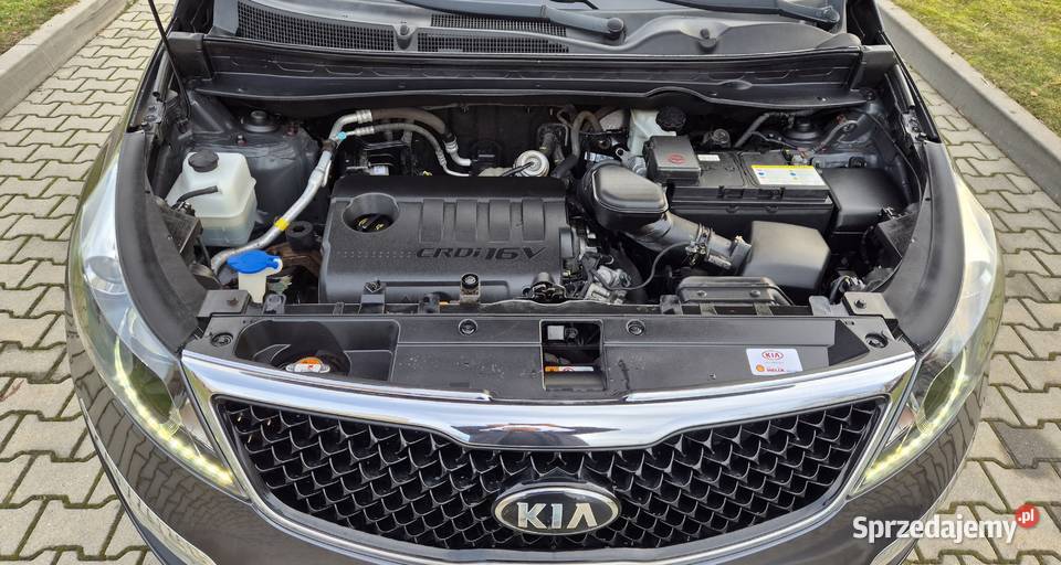 Kia Sportage Lift 17 CRDi Skóra Navi Kamera Ledy Sportage Zamość sprzedam
