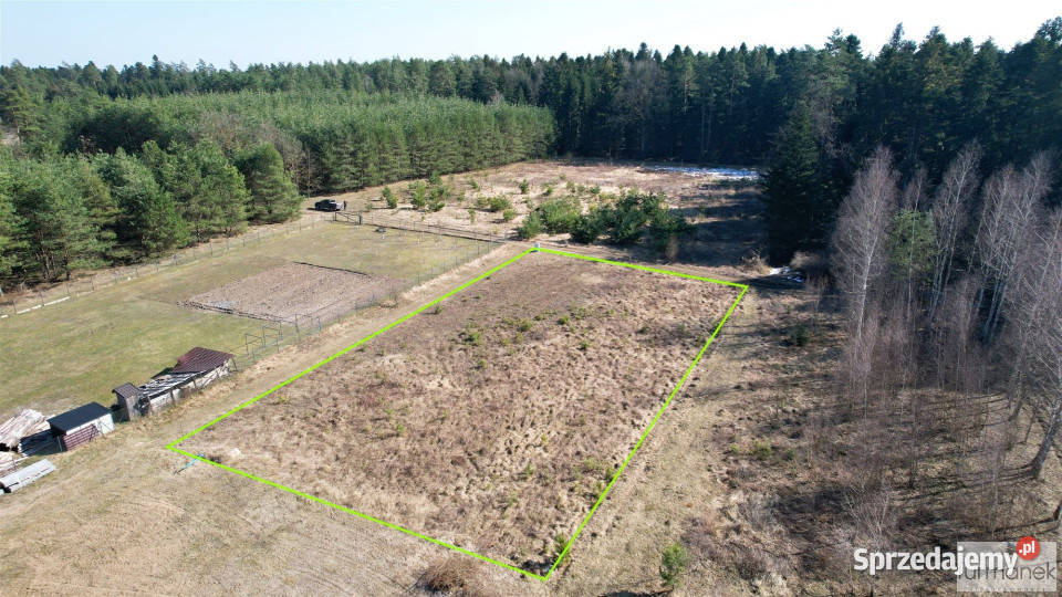 Działka 1666m Hedwiżyn Sprzedaż