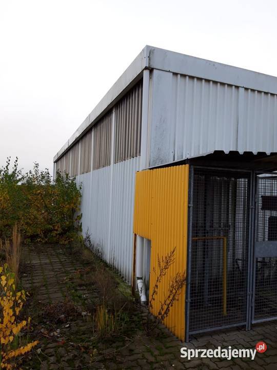 Hala TransferHalle 2016 297 mkw 16m x 186 m x