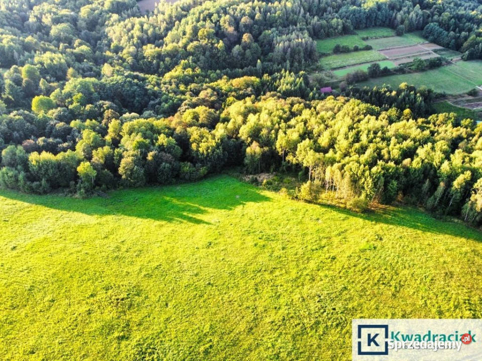 Grunt sprzedam Lutcza 44800m